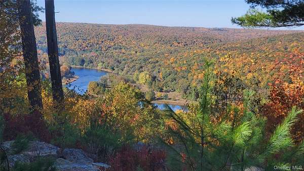 5.24 Acres of Residential Land for Sale in Narrowsburg, New York