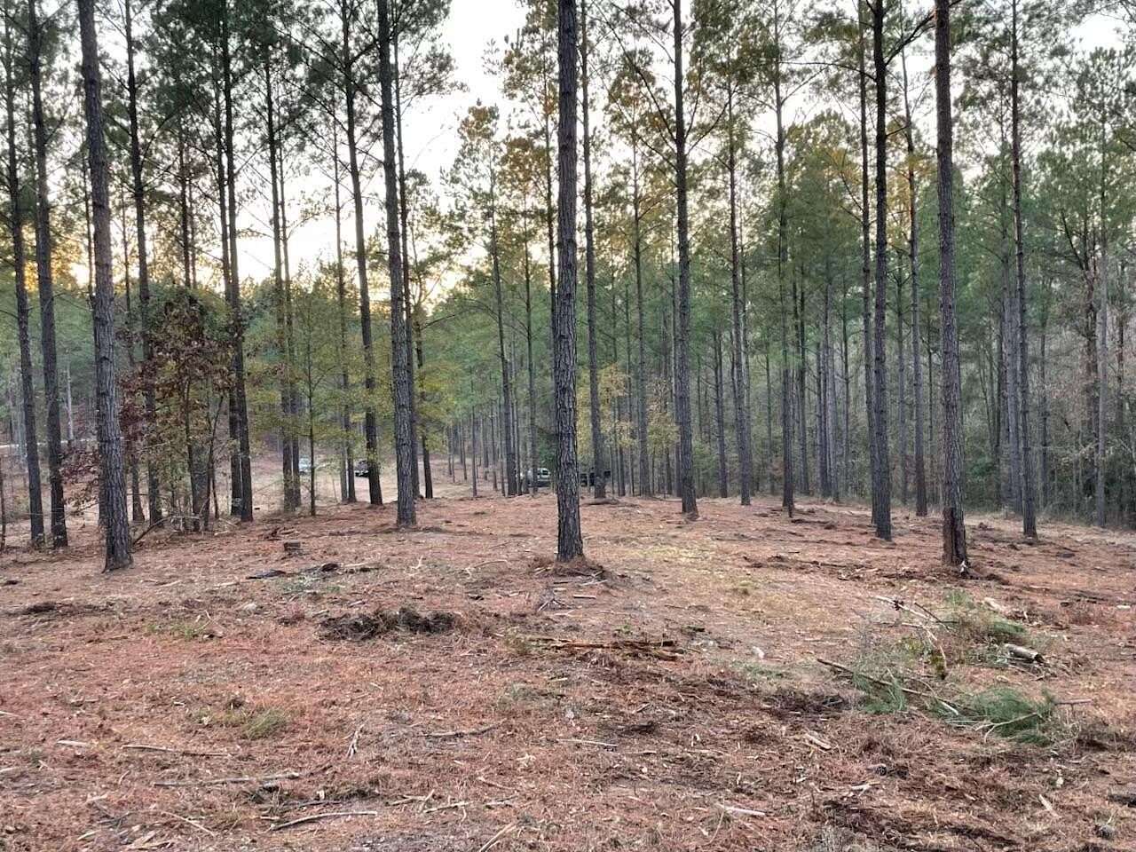 11 Acres of Land for Sale in Aiken, South Carolina