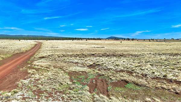 40 Acres of Land for Sale in Parks, Arizona