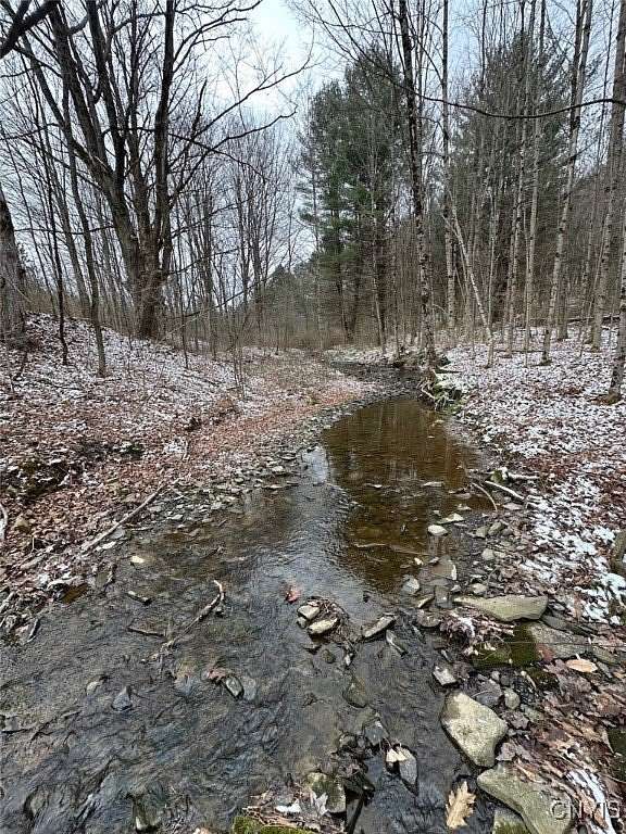 61 Acres of Recreational Land for Sale in Endicott, New York