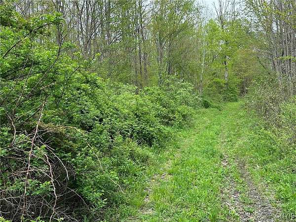 61 Acres of Recreational Land for Sale in Endicott, New York