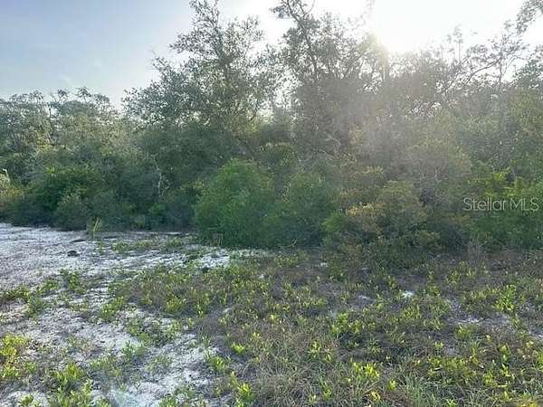 0.22 Acres of Residential Land for Sale in Lake Placid, Florida