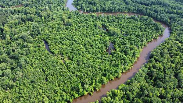 56 Acres of Recreational Land for Sale in New Edinburg, Arkansas