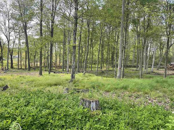 0.56 Acres of Residential Land for Sale in Reedsville, West Virginia