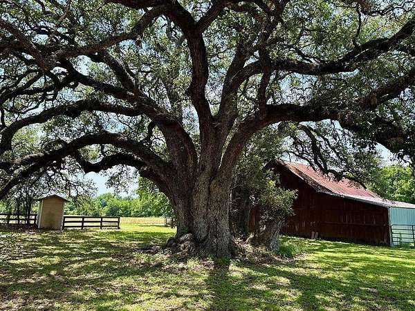 30 Acres of Agricultural Land with Home for Sale in Brenham, Texas