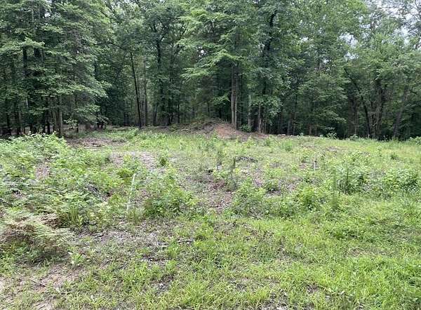 10 Acres of Residential Land for Sale in Avinger, Texas