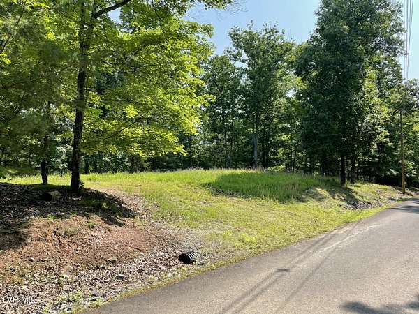 1 Acre of Residential Land for Sale in Mooresburg, Tennessee