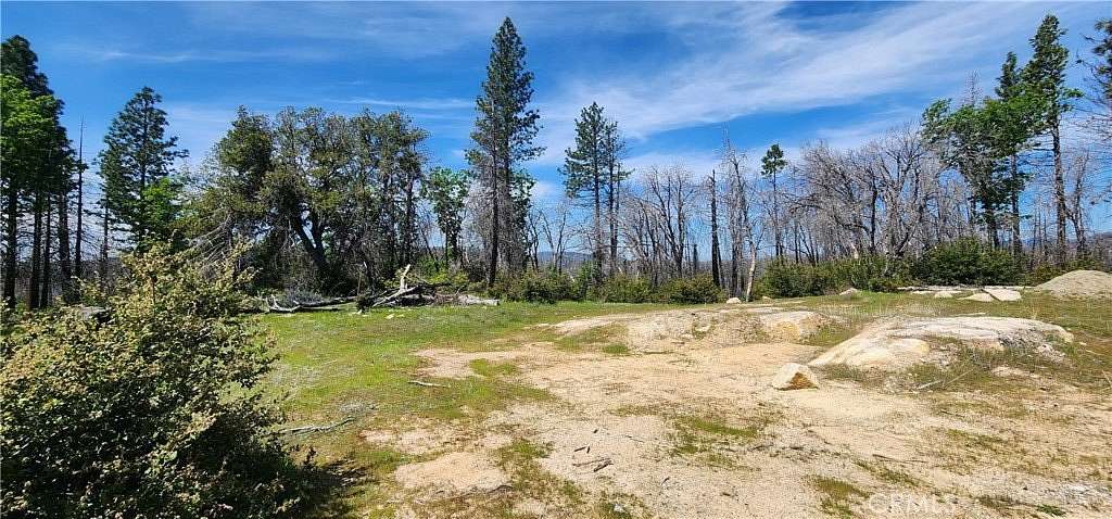 10.3 Acres of Land for Sale in Berry Creek, California