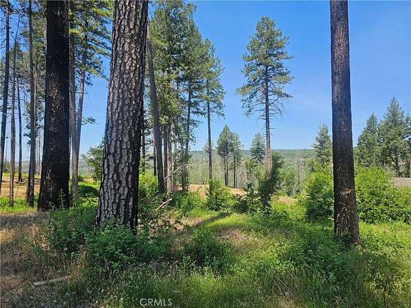 1 Acre of Residential Land for Sale in Paradise, California