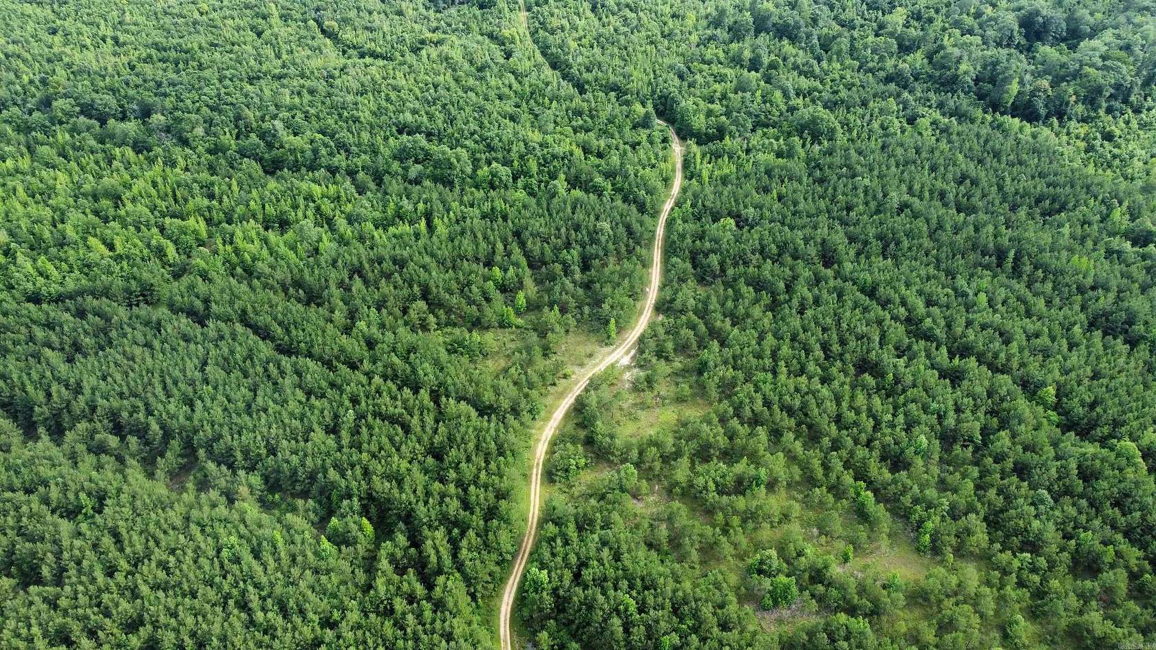 320 Acres of Recreational Land for Sale in Wilmar, Arkansas