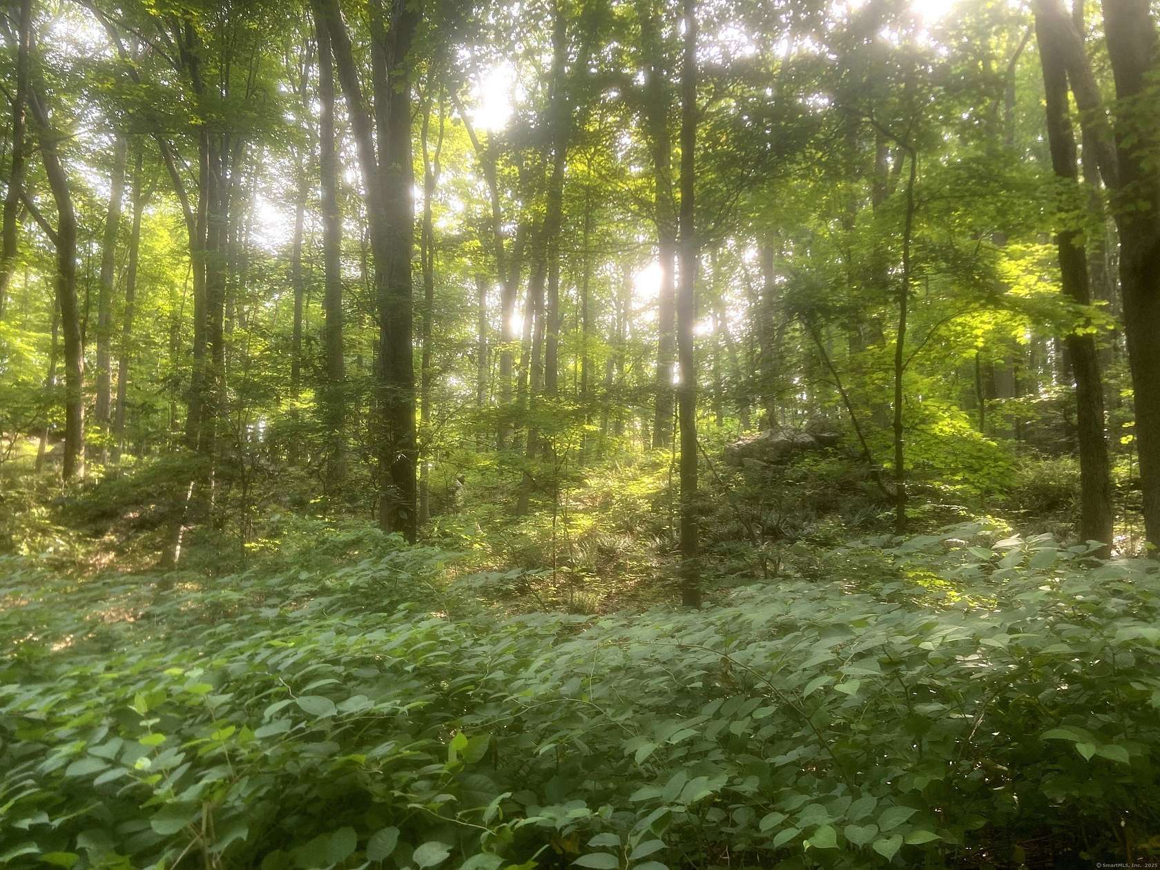 0.58 Acres of Residential Land for Sale in Trumbull, Connecticut