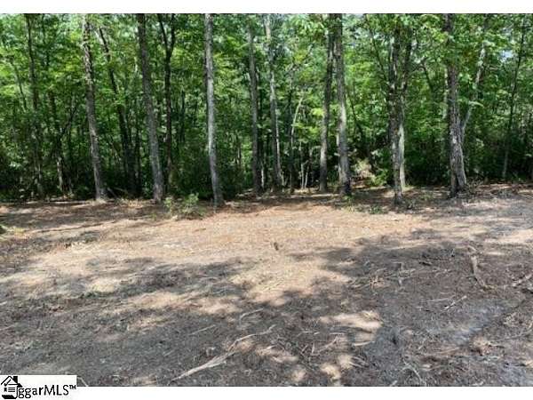 1.47 Acres of Residential Land for Sale in Marietta, South Carolina