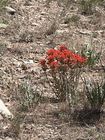 10 Acres of Residential Land for Sale in Montello, Nevada