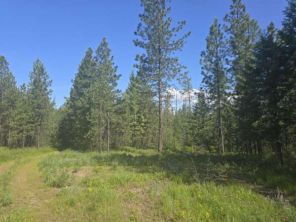 6.72 Acres of Land for Sale in Kettle Falls, Washington