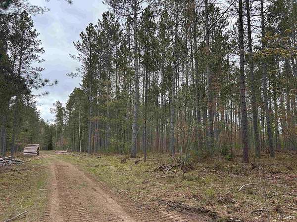 2.15 Acres of Residential Land for Sale in Crystal Falls, Michigan