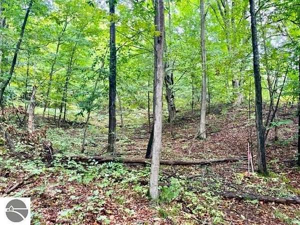 5 Acres of Land for Sale in Benzonia, Michigan
