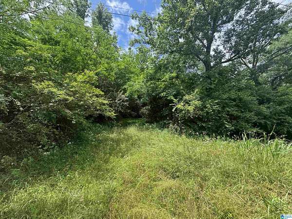 4.65 Acres of Land for Sale in Haleyville, Alabama
