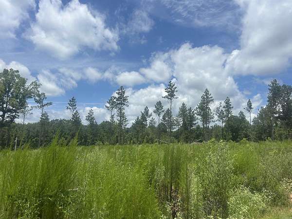 3.4 Acres of Land for Sale in Sheridan, Arkansas