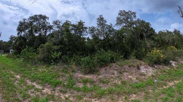 0.22 Acres of Residential Land for Sale in DeLand, Florida