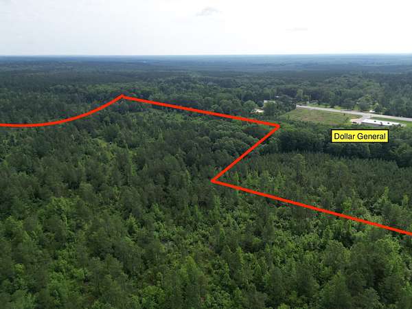 43.3 Acres of Recreational Land for Sale in Sheridan, Arkansas