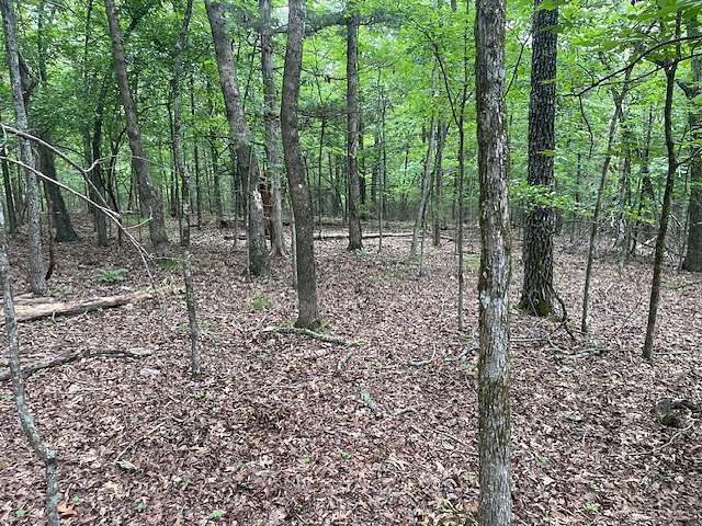 1 Acre of Residential Land for Sale in Bull Shoals, Arkansas