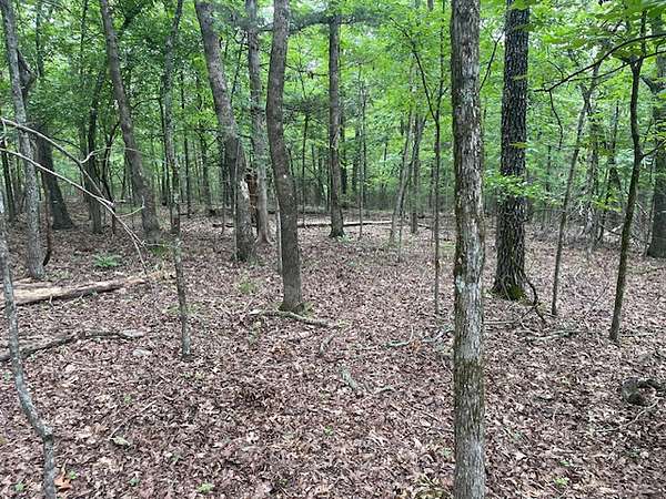 1 Acre of Residential Land for Sale in Bull Shoals, Arkansas