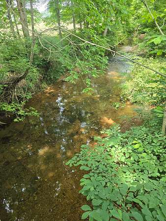 47.6 Acres of Land for Sale in Edmonton, Kentucky