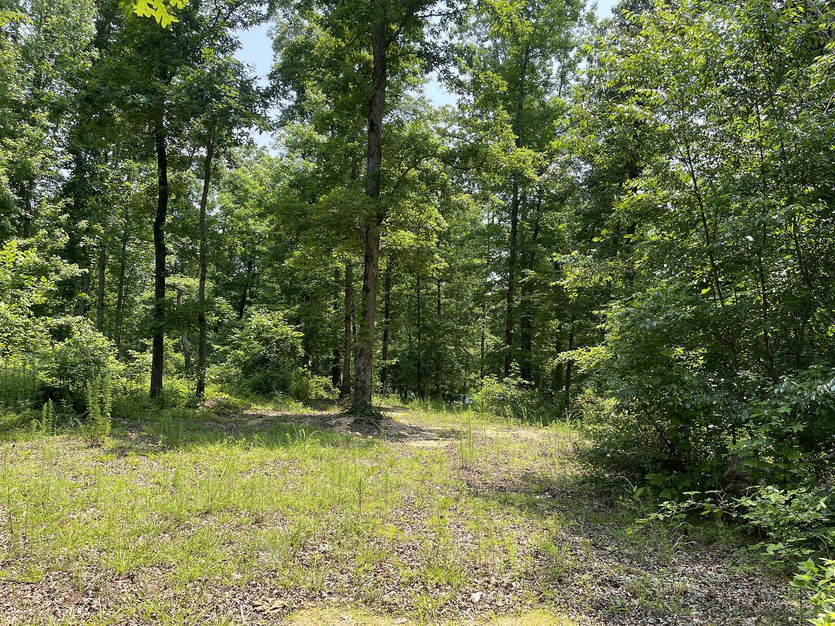 9.76 Acres of Land for Sale in Sardis, Tennessee