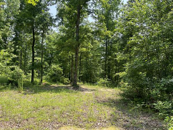 9.76 Acres of Land for Sale in Sardis, Tennessee