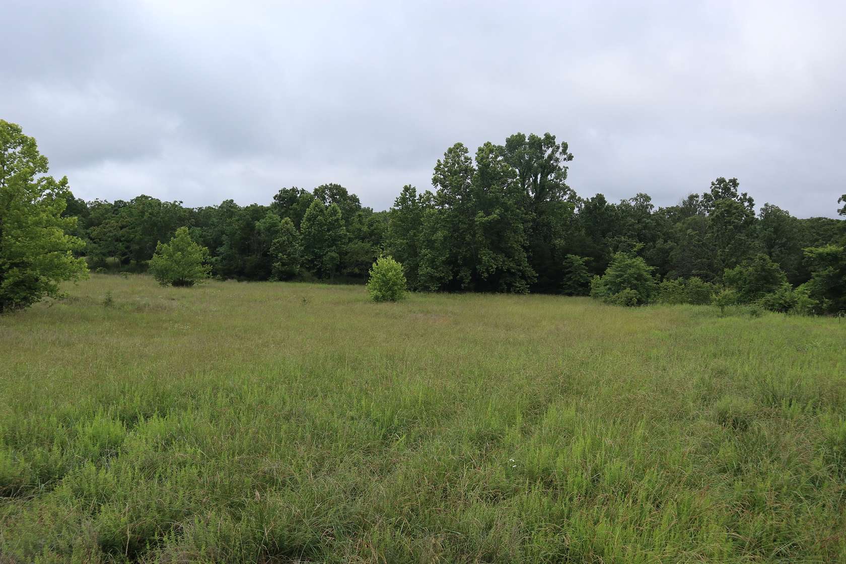 99 Acres of Land for Sale in Salem, Arkansas