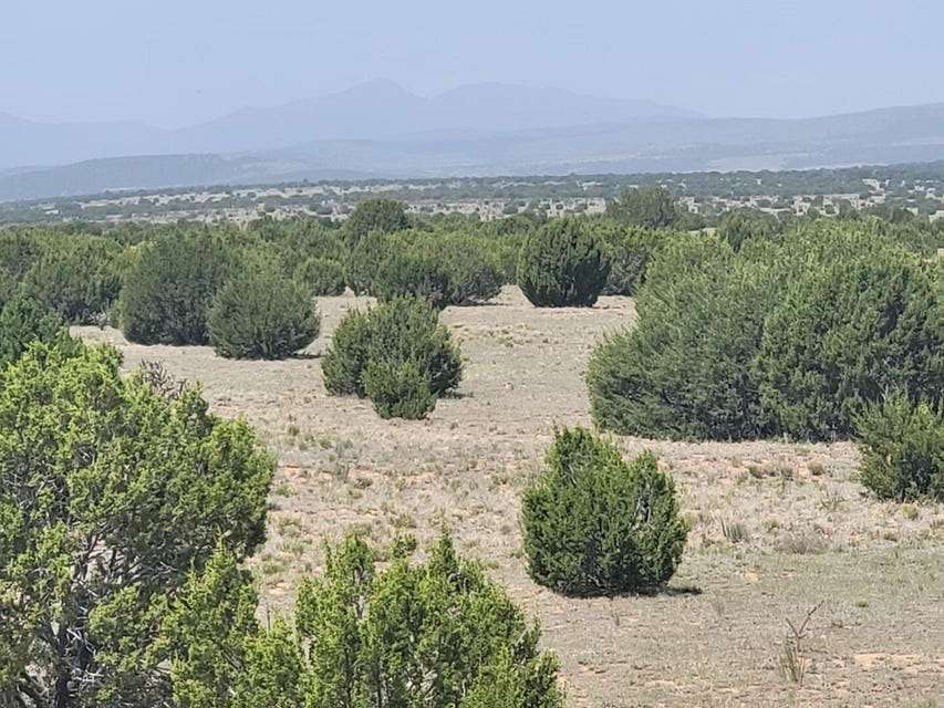 40 Acres of Recreational Land & Farm for Sale in Estancia, New Mexico