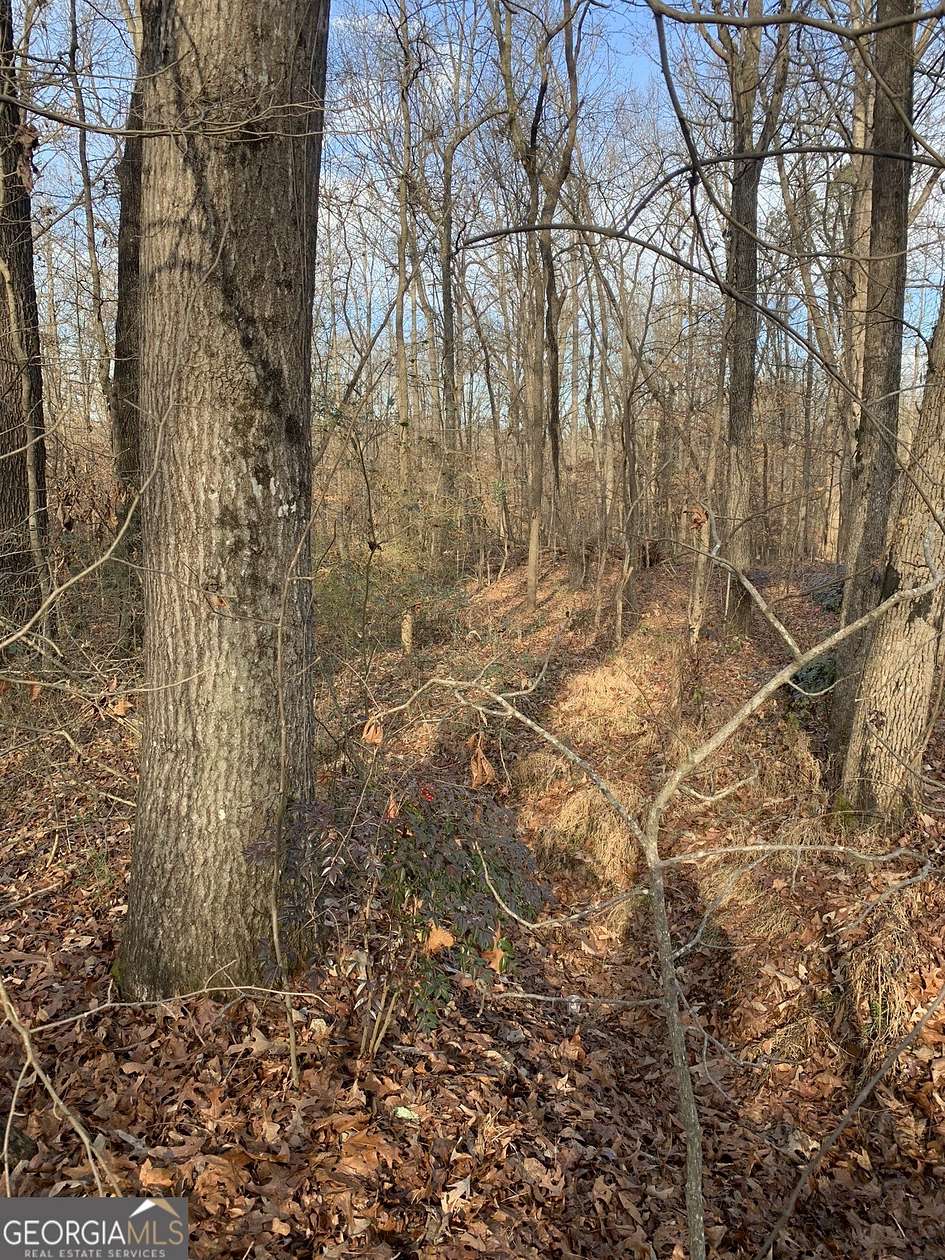 0.97 Acres of Residential Land for Sale in Royston, Georgia