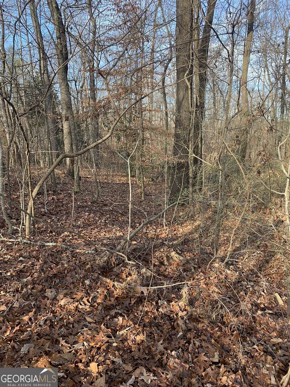 1 Acre of Residential Land for Sale in Royston, Georgia