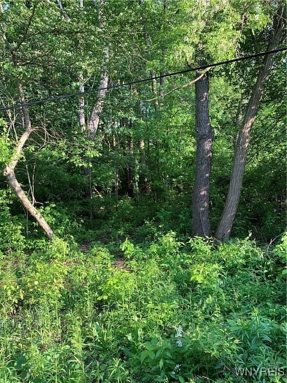 0.14 Acres of Land for Sale in Angola, New York