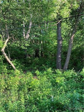 0.14 Acres of Land for Sale in Angola, New York