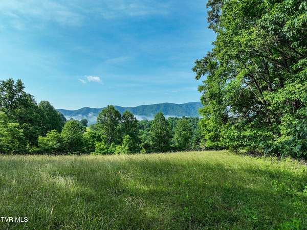 15.6 Acres of Land for Sale in Gate City, Virginia