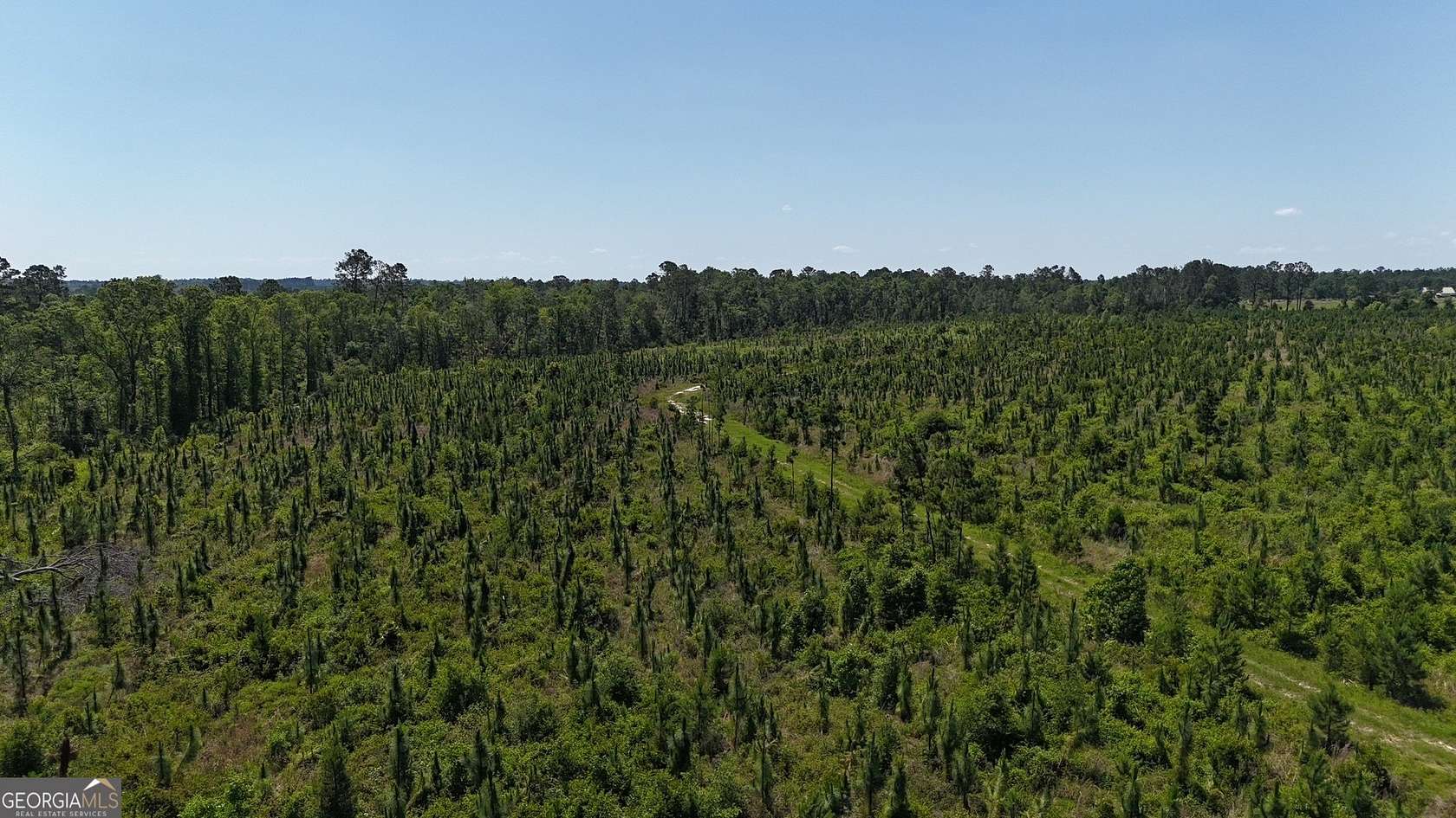 61.6 Acres of Recreational Land for Sale in Vidalia, Georgia