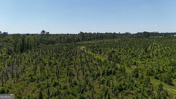 61.6 Acres of Recreational Land for Sale in Vidalia, Georgia
