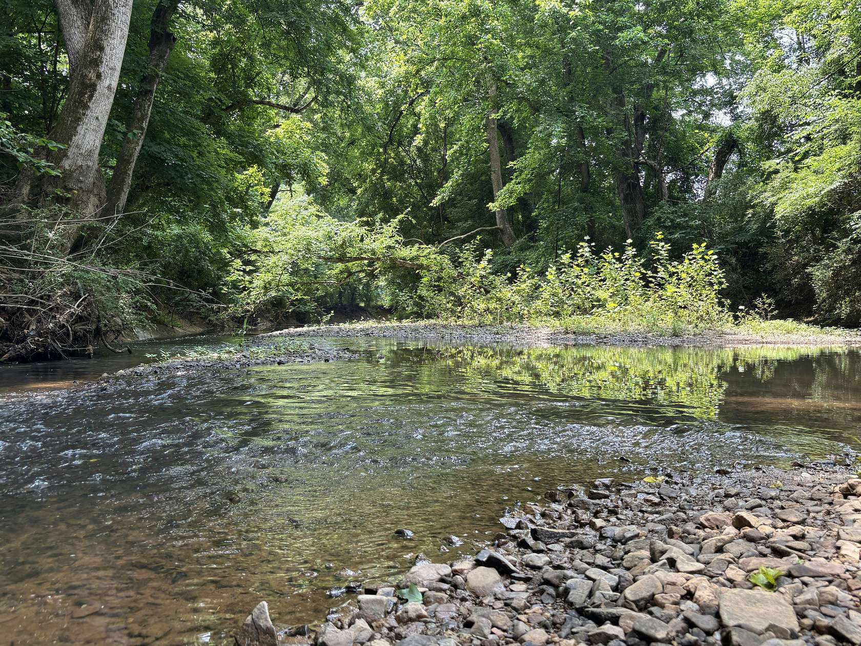 234 Acres of Recreational Land for Sale in Mount Pleasant, North Carolina