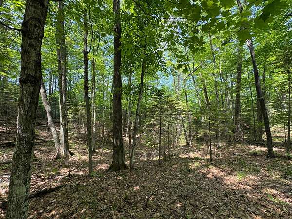 1.76 Acres of Land for Sale in Minocqua, Wisconsin