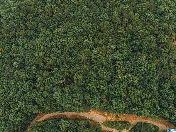 12.6 Acres of Recreational Land for Sale in Munford, Alabama