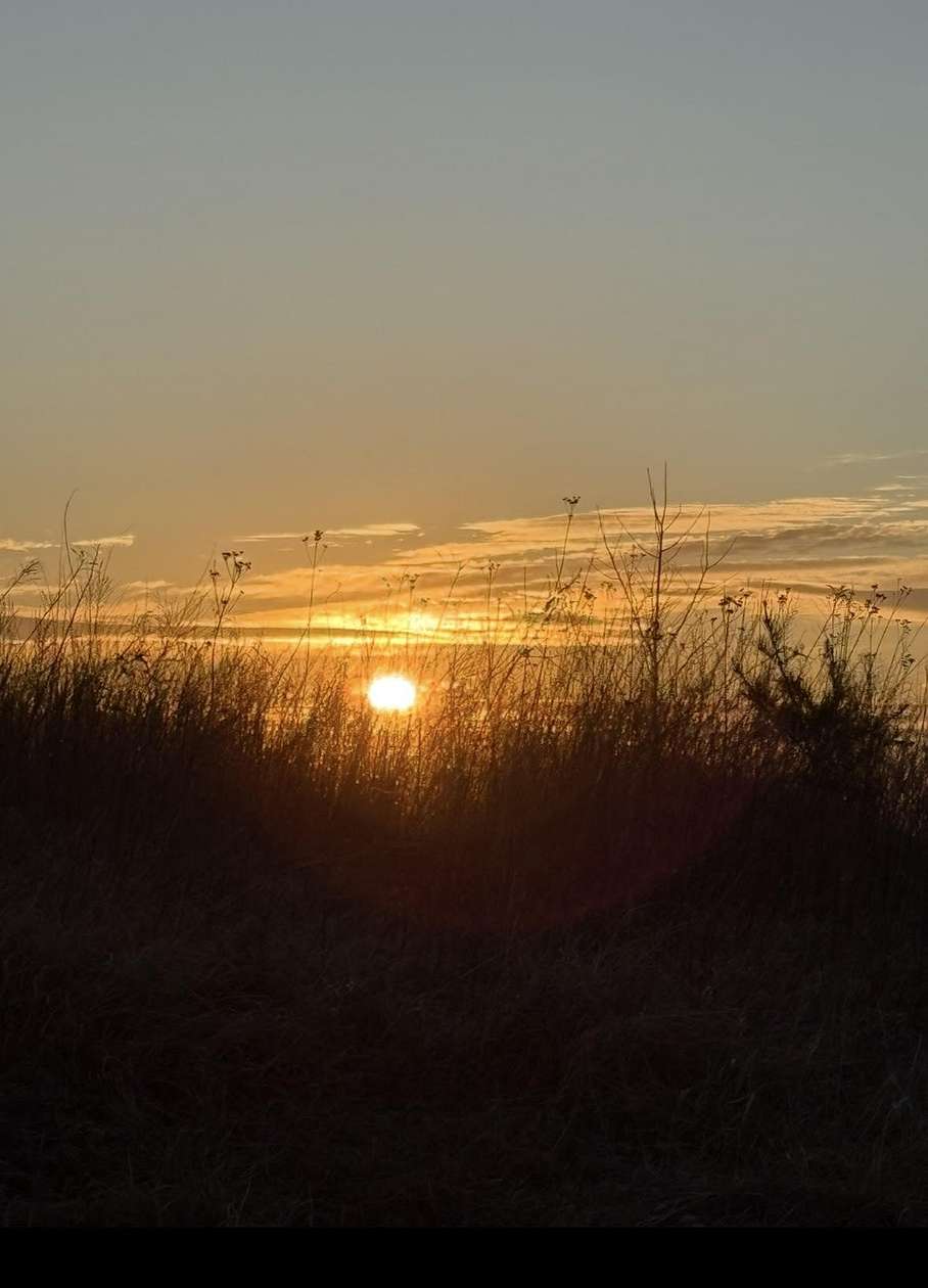 3 Acres of Residential Land for Sale in Blue Ridge, Virginia