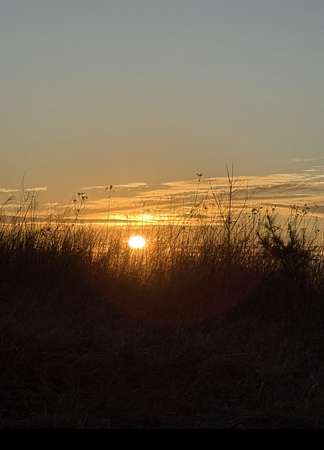 3 Acres of Residential Land for Sale in Blue Ridge, Virginia