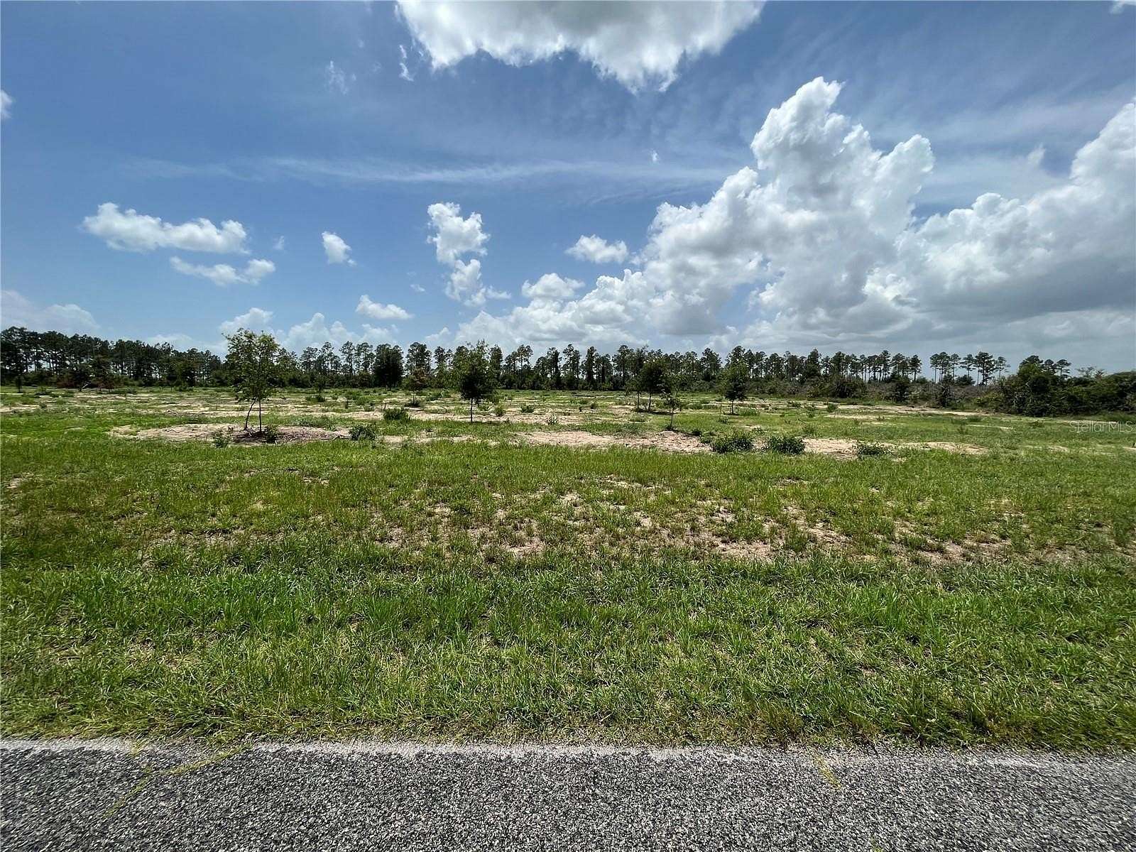 10 Acres of Land for Sale in Weirsdale, Florida