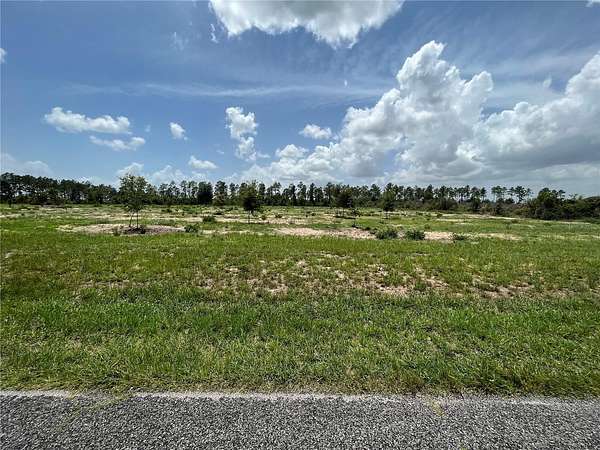 10 Acres of Land for Sale in Weirsdale, Florida