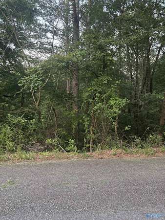 1 Acre of Land for Sale in Southside, Alabama