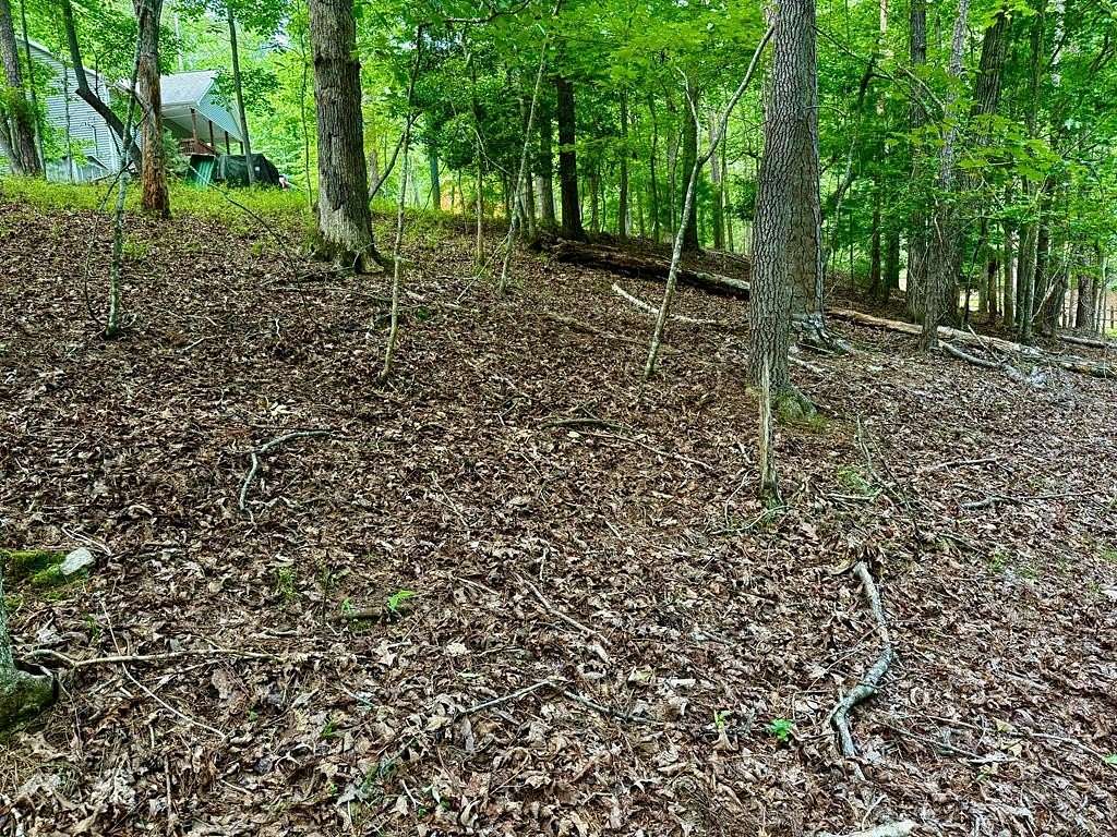 0.4 Acres of Residential Land for Sale in Ellijay, Georgia