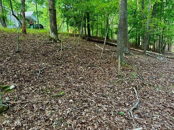 0.4 Acres of Residential Land for Sale in Ellijay, Georgia
