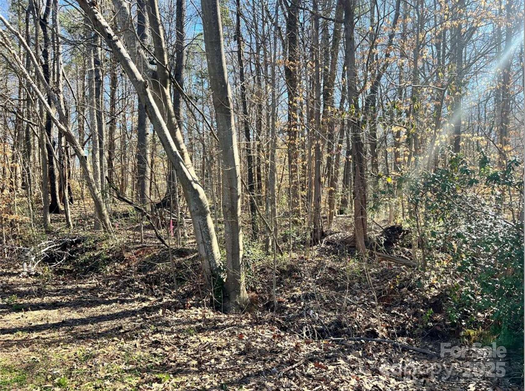1 Acre of Residential Land for Sale in Fort Mill, South Carolina