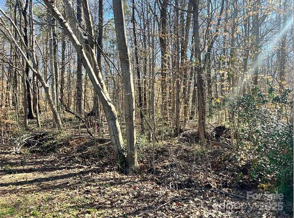 1 Acre of Residential Land for Sale in Fort Mill, South Carolina